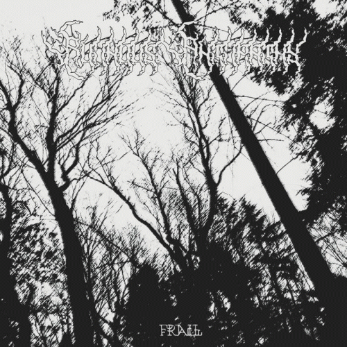 Ruinous Antipathy : Frail